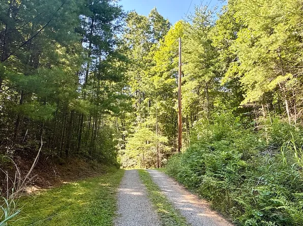 Bull Mountain Rd Lot Wp001, Del Rio, TN 37727