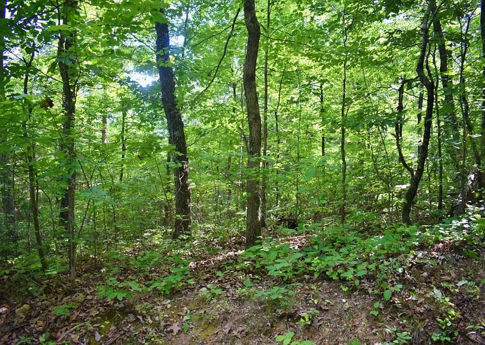 1st image of 180 Chestnut Dr Lot 262