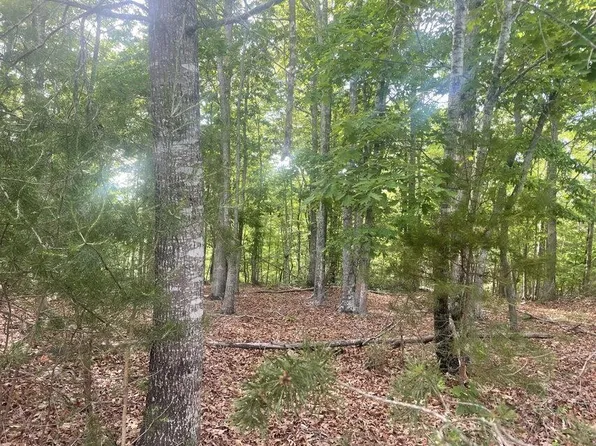 LOT 19 Robin Ridge Ct, Pittsville, VA 24139