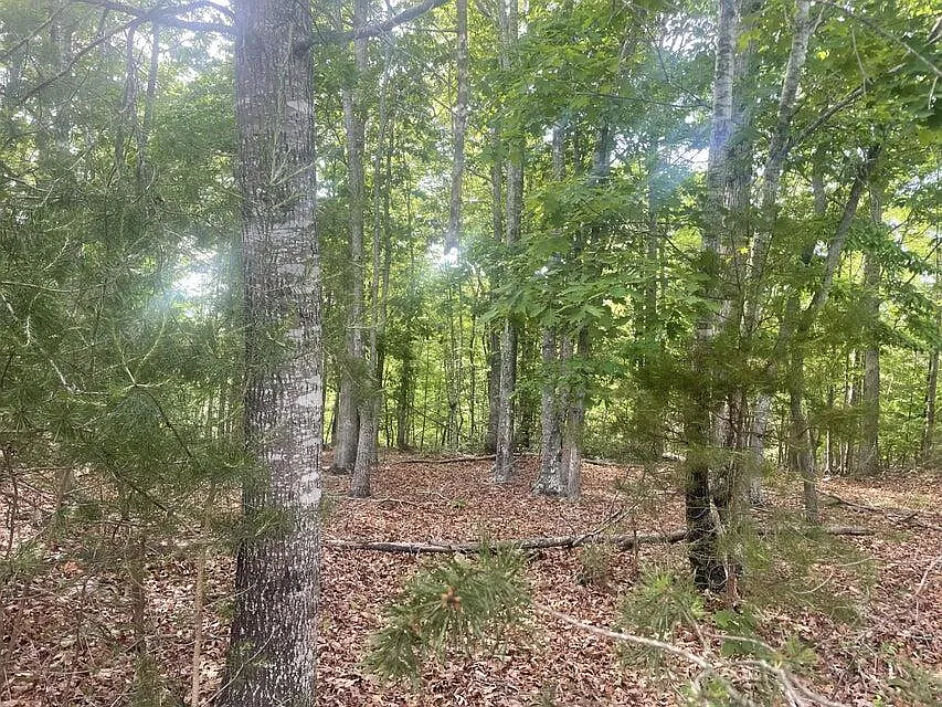 LOT 19 Robin Ridge Ct photo 1