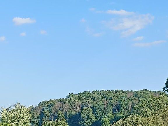 Amazing Country Views