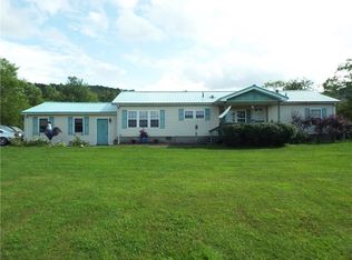 1981 Birch Run Rd, Allegany, NY 14706
