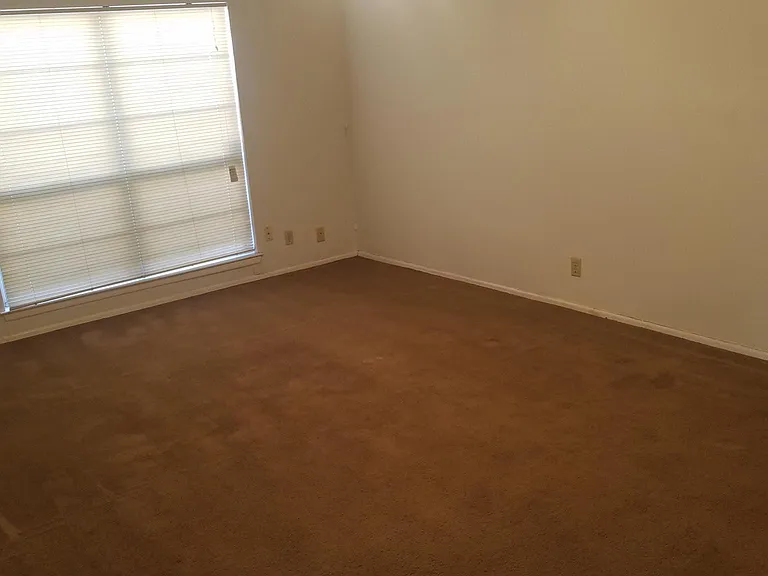 6854 Agua Calientes — Photo 8