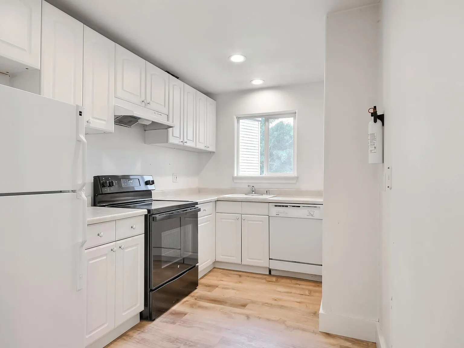 3 bed, 1200 sqft, $3,450 — Photo 3