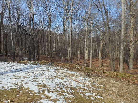 4th image of 6904 Sandy Hook Dr