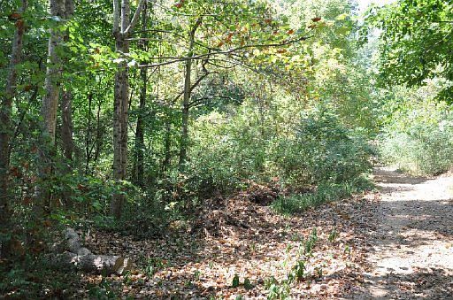 3rd image of Ridge Dr