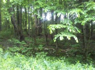 0 Center Rd, South Plymouth, NY 13844