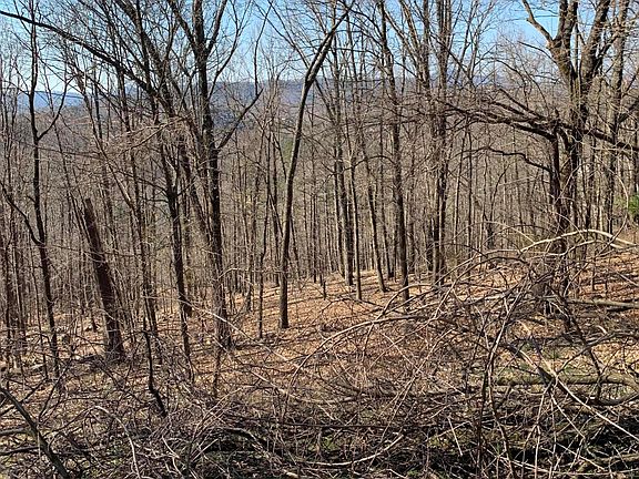 5th image of 3549 Peakwood Dr SW