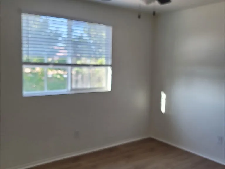 29153 Hydrangea St — Photo 9