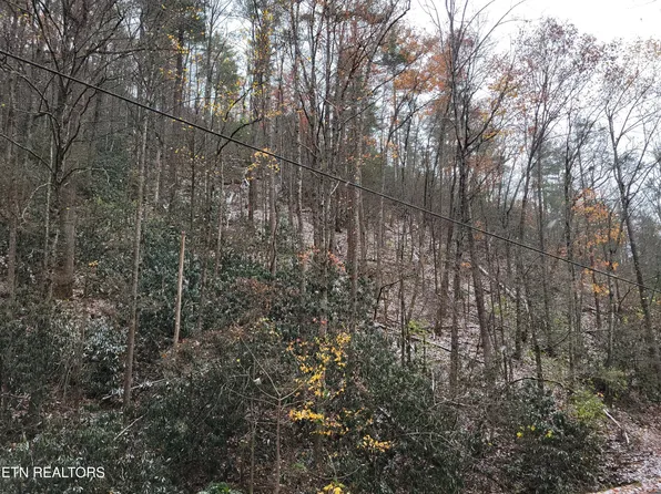 3536 Alpine Dr Lot 35/36, Sevierville, TN 37876