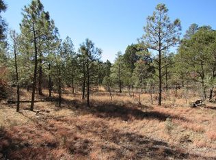 9 Paradise Valley Ct, Timberon, NM 88350