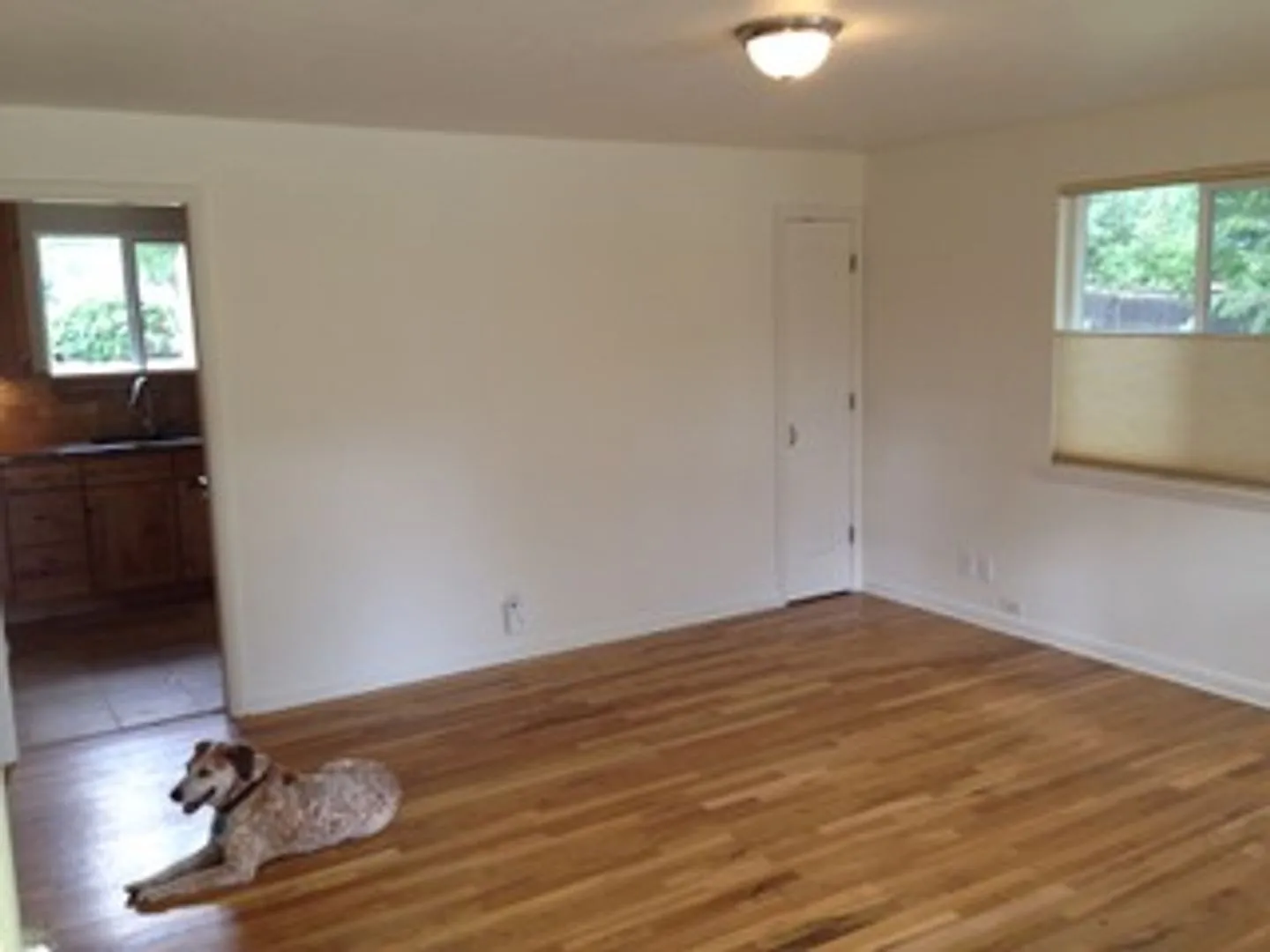 Light-Filled 3-Bedroom Home in Desirable North Boulder — Photo 4