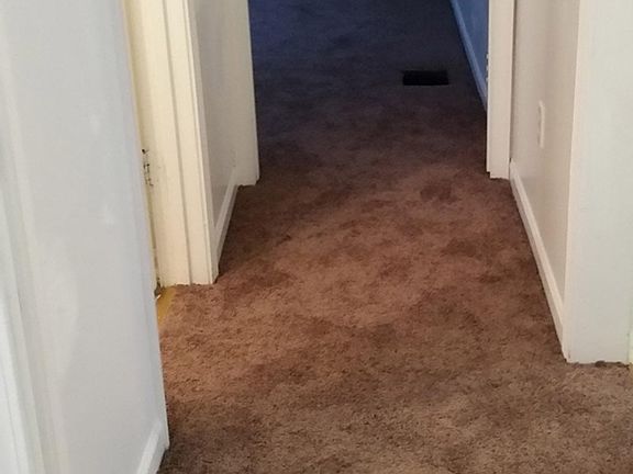 New Carpet