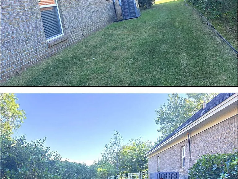 Right Side Views
