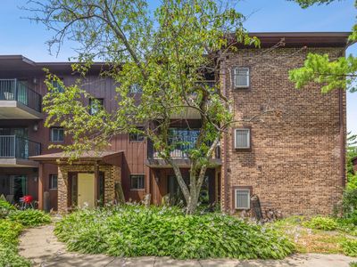 73 Pier Dr APT 102, Westmont, IL, 60559