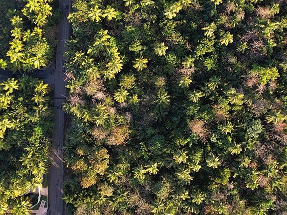 5th image of State Highway 968 Km #2.2