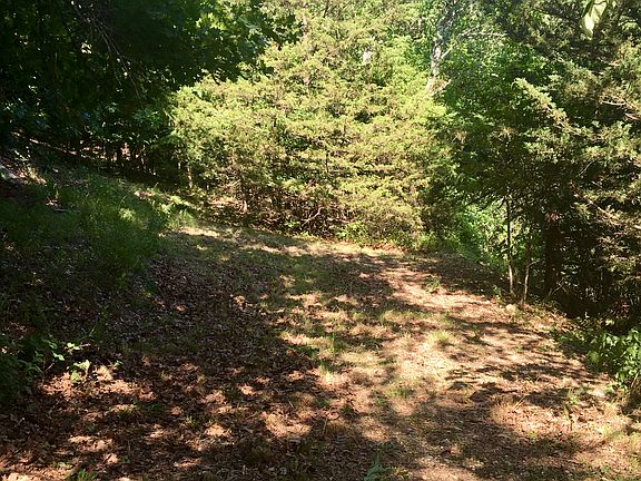 Road leading to the lake