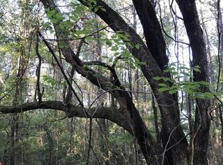 19318 Weinberger Rd, Ponchatoula, LA 70454