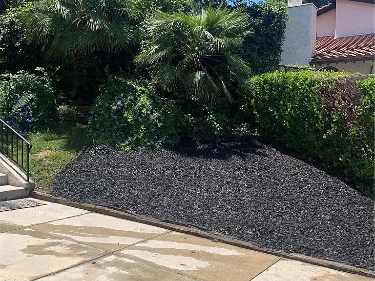 5246 Calderon Rd — Photo 3