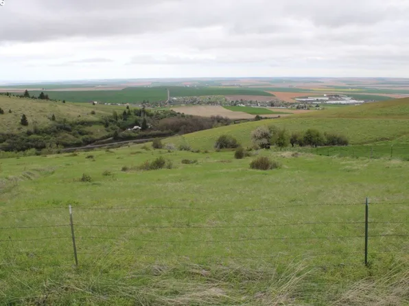 52823 Kirk Rd, Weston, OR 97886