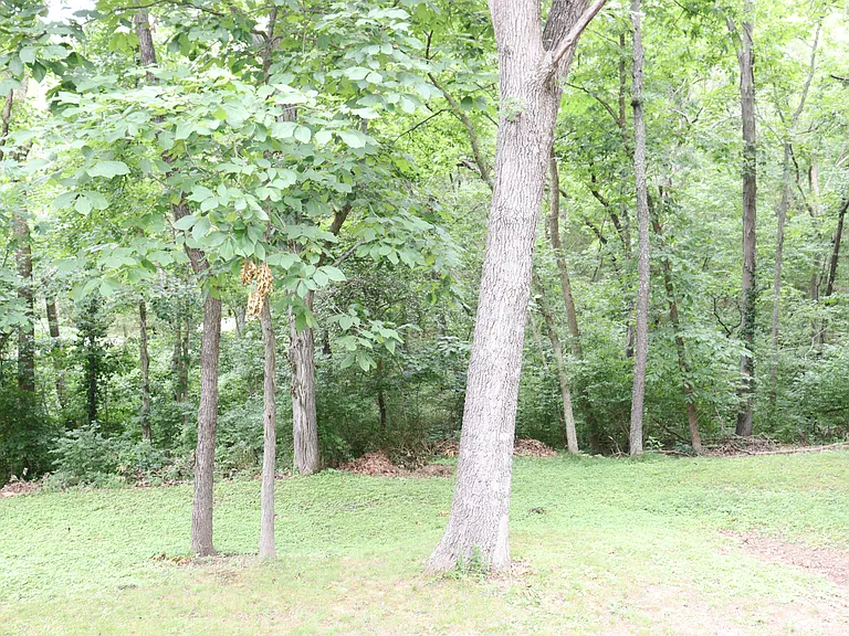 7045 Local Hillsboro Rd — Photo 11