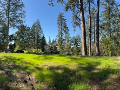475 Sunset Drive, Angwin, CA, 94508