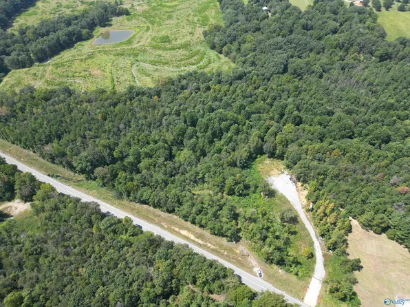 10267 State Highway 101, Town Creek, AL 35672