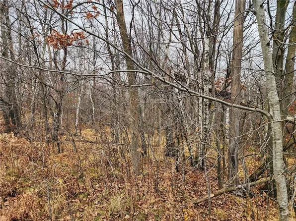 00 Highway 8, Almena, WI 54805
