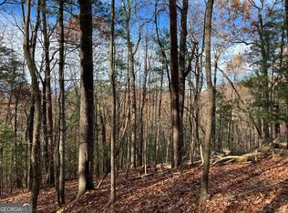 J214 Walnut Mountain Rd, Ellijay, GA 30536