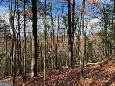 J214 Walnut Mountain Rd, Ellijay, GA, 30536