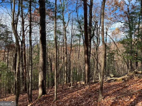 J214 Walnut Mountain Rd, Ellijay, GA 30536