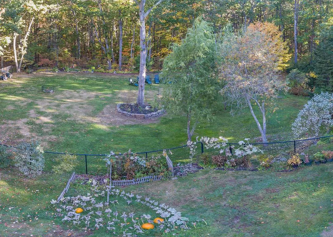 2 bed, 1000 sqft, $2,600 — Photo 3