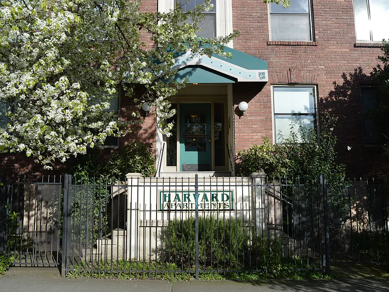 Harvard — Photo 14