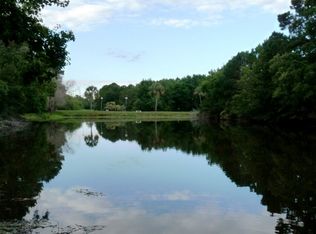 909 Red Coat Run, Mount Pleasant, SC 29464