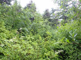 LOT 3C Killisnoo Rd, Angoon, AK 99820