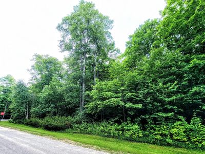 LOT 13 Northridge Rd, Gaylord, MI, 49735