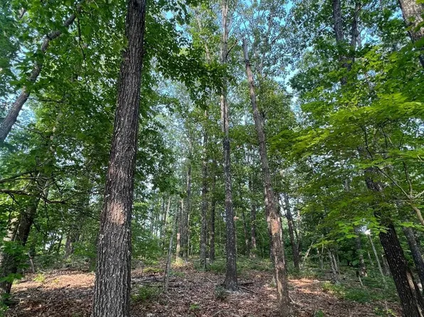 2302100019 County Road 522, Gainesville, MO 65655