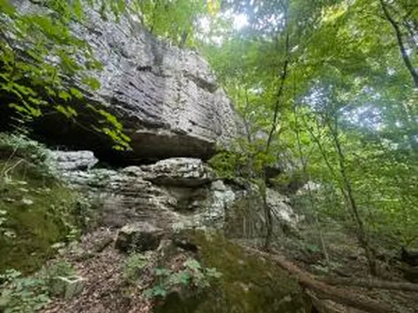 0 State Highway 7, Jasper, AR 72641