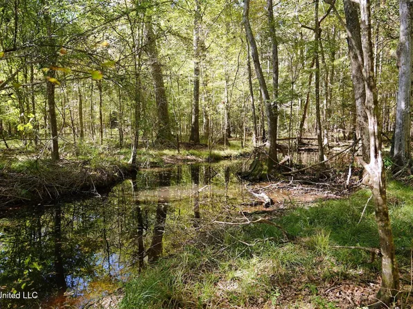 0 SW Jackson Liberty Dr, Smithdale, MS 39664