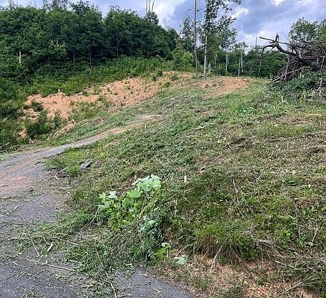 5th image of 6869 Pine Top Ln
