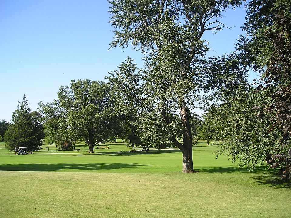 17th tee view from back yard