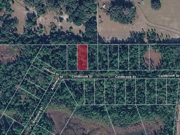 116 COLDBROOK STREET LOT 34, GEORGETOWN, FL 32139