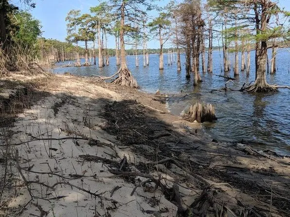 0 Pecan Grove Rd, Woodville, MS 39669