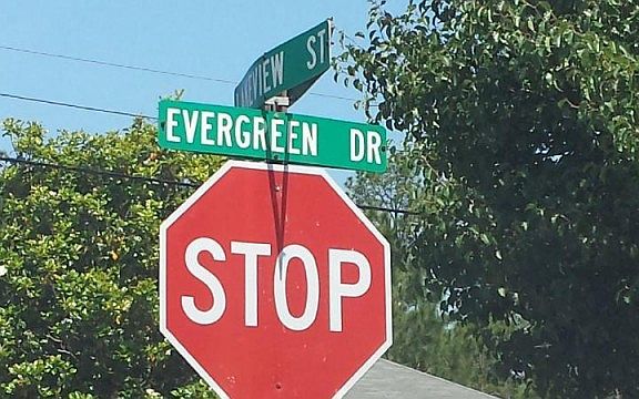 5th image of 309 Evergreen Dr