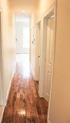 Rented by Bold New York