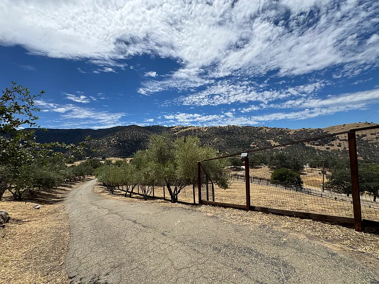 12336 Mines Rd — Photo 80