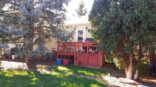 850 Vivian Street — Photo 3