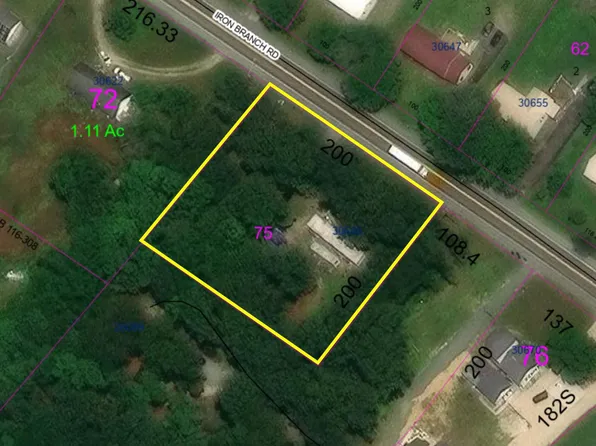 30648 Iron Branch Rd, Dagsboro, DE 19939