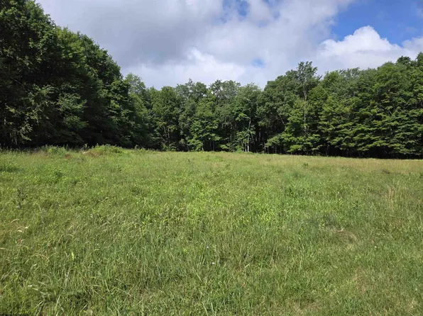 Hazelwood Dr, Bruceton Mills, WV 26525