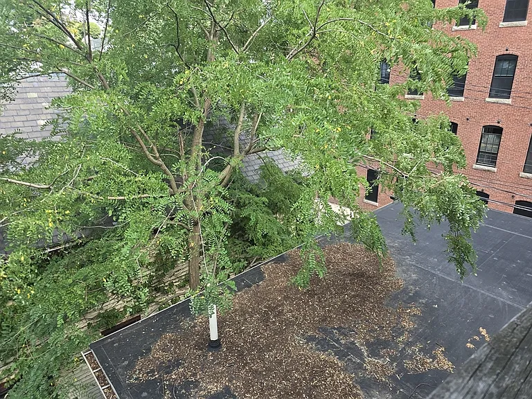 9-11 Bismarck St #3 — Photo 9